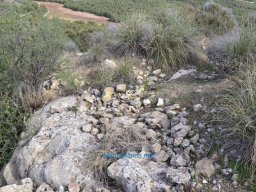 Yacimiento de la Almoloya 2007